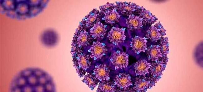 HPV - ადამიანის პაპილომავირუსი